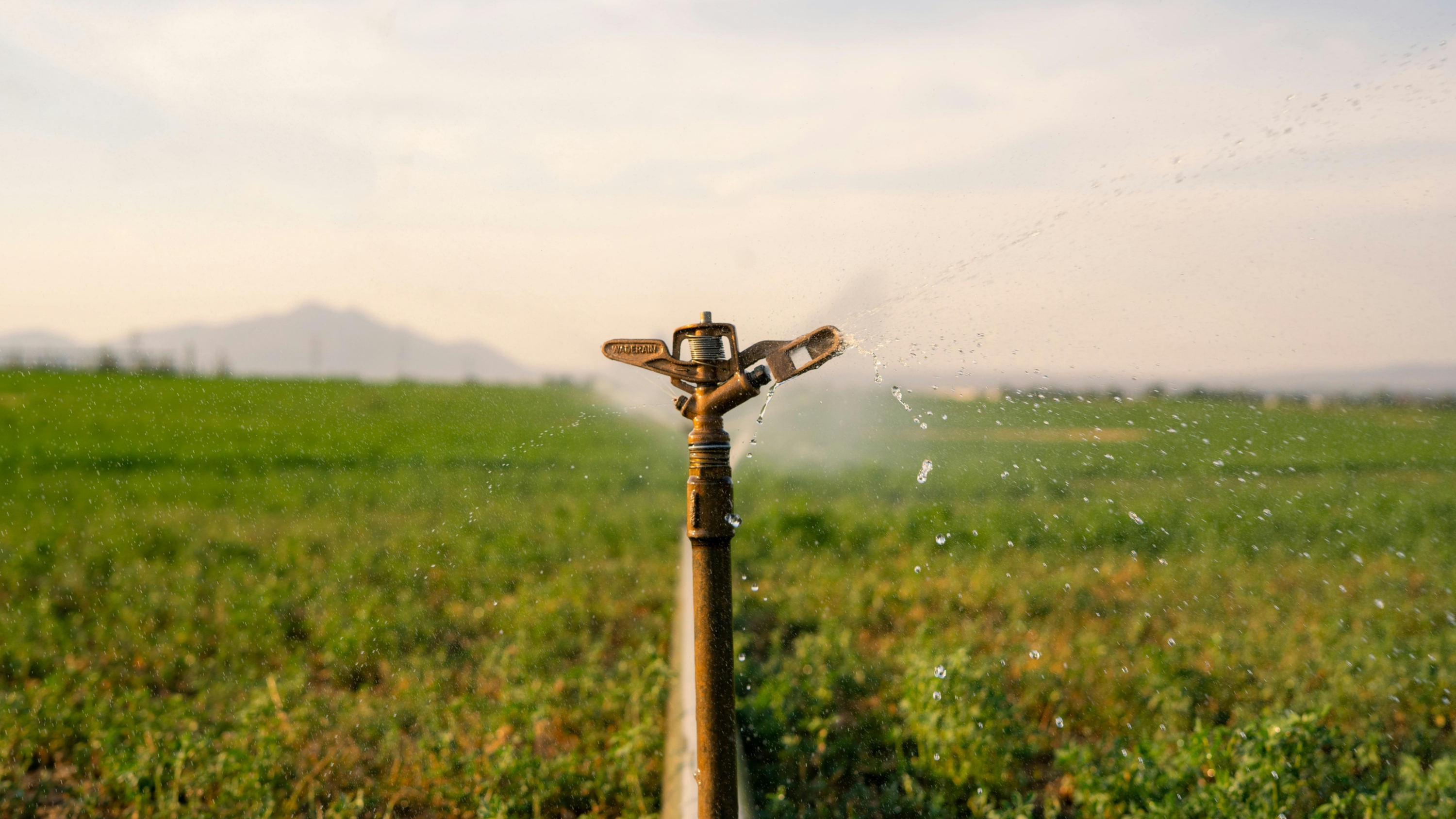 Geospatial Analytics